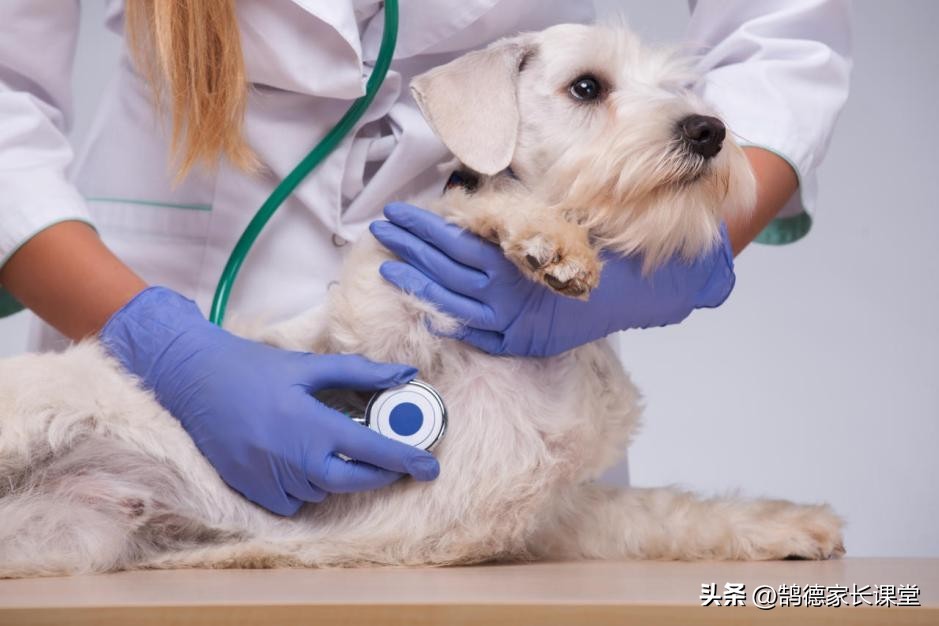 升博教育：2023高考，农业类大学里的高性价比专业，别错过