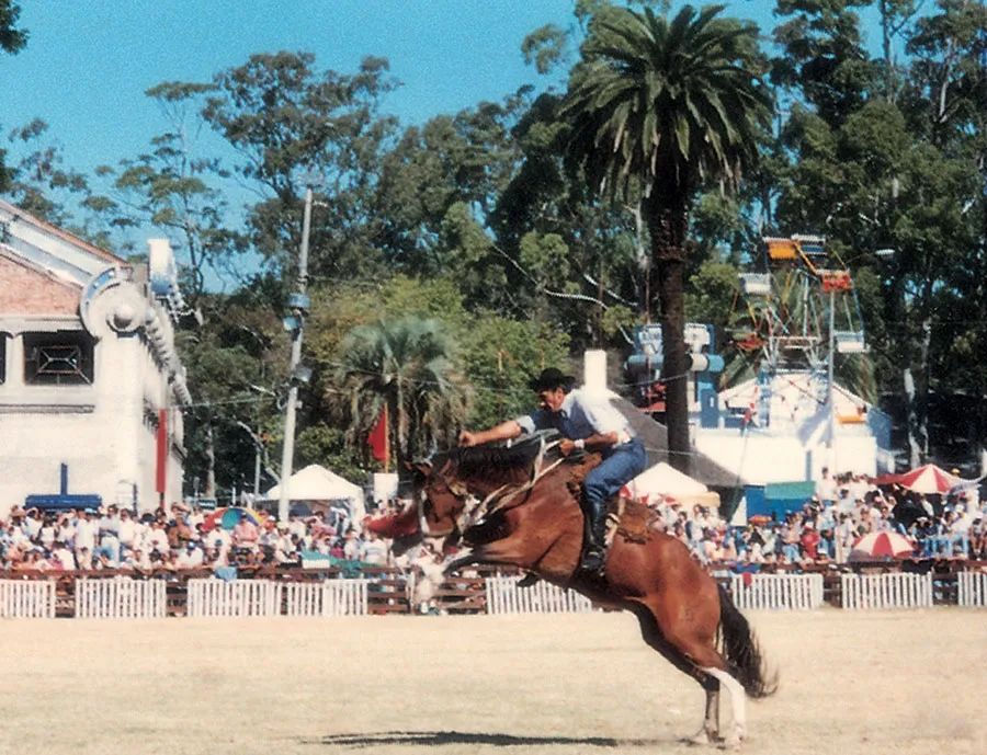 跟随汤铭新大使走进足球强国、南美瑞士——五彩斑斓的乌拉圭