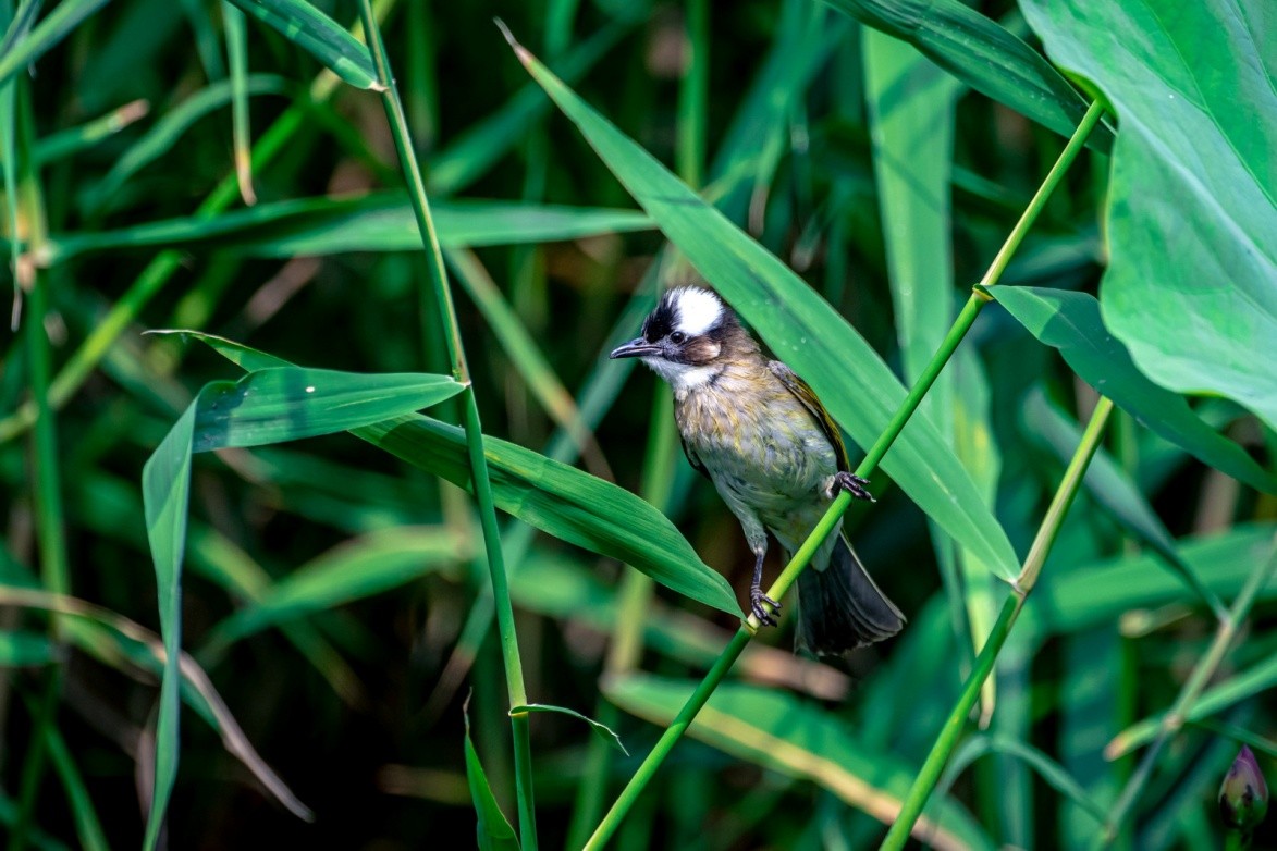 持续读写再升级至誉NITRO系列CFexpressTypeB存储卡评测