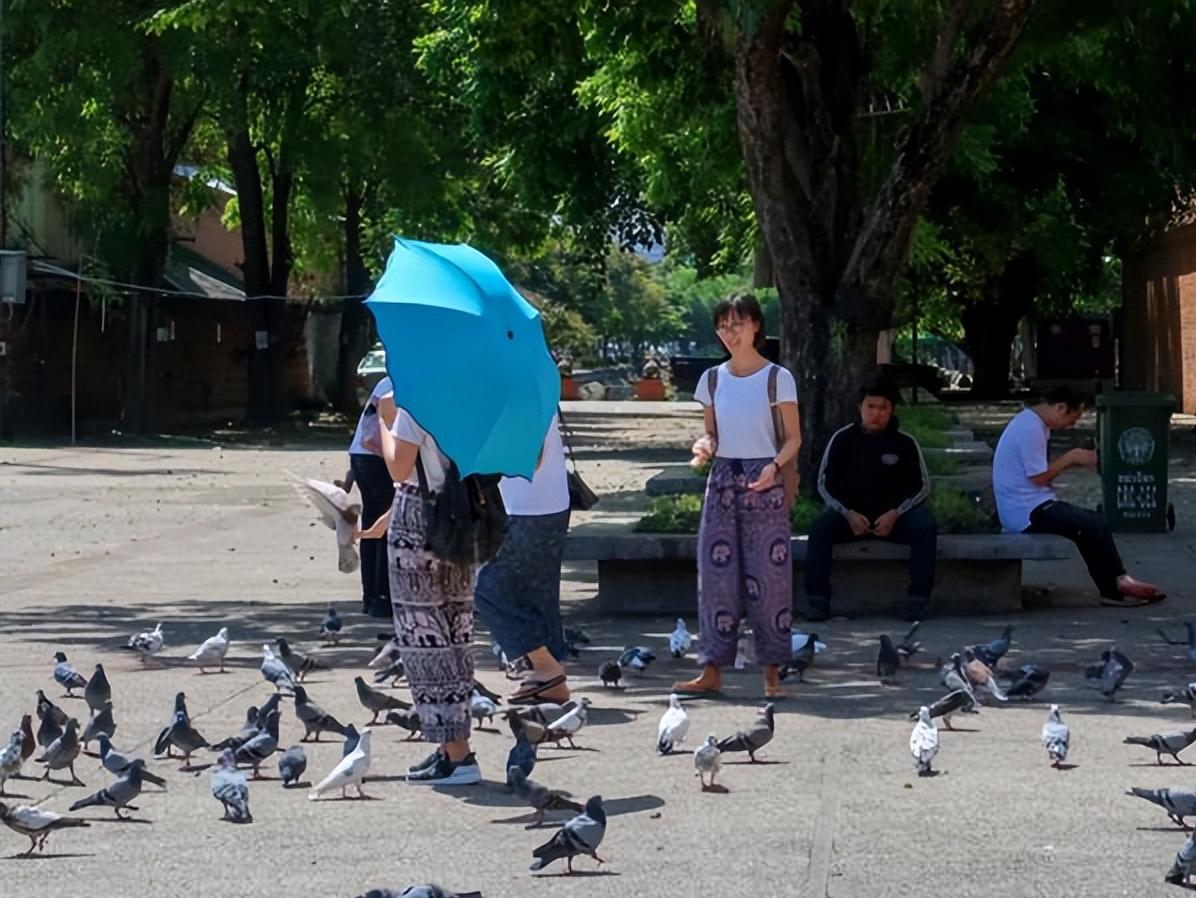 在泰国生活的真实感受,移民泰国后的真实生活