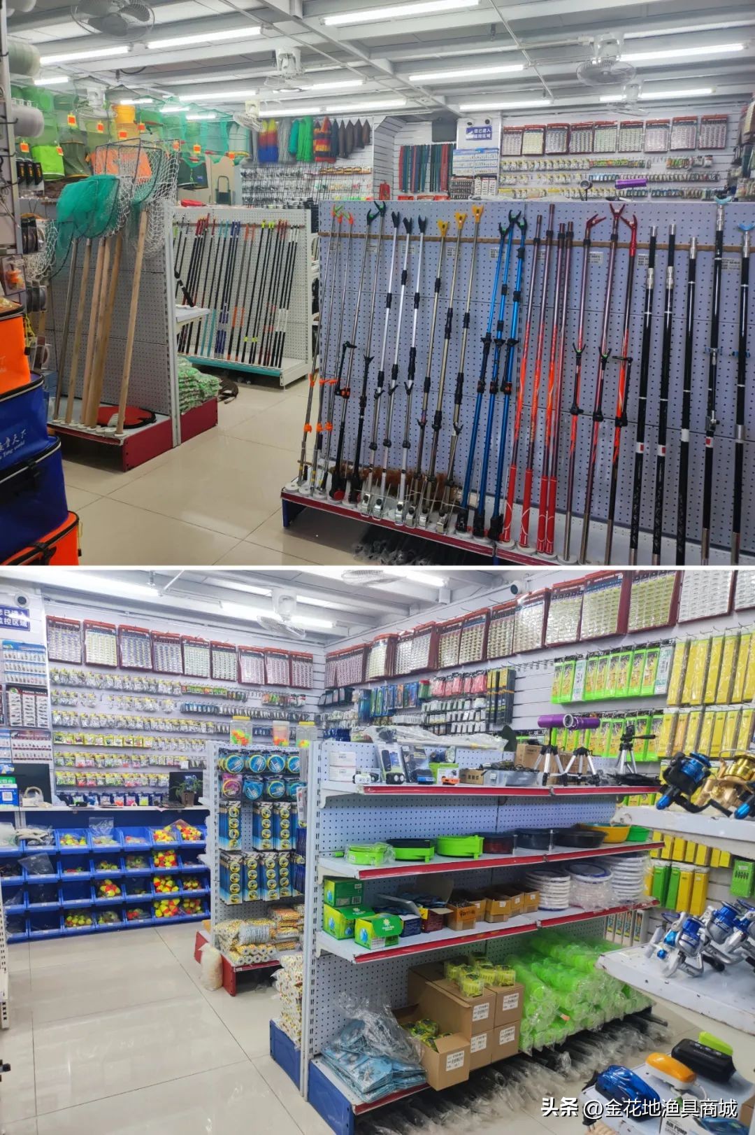 金花地渔具直播,金花地秋季渔具