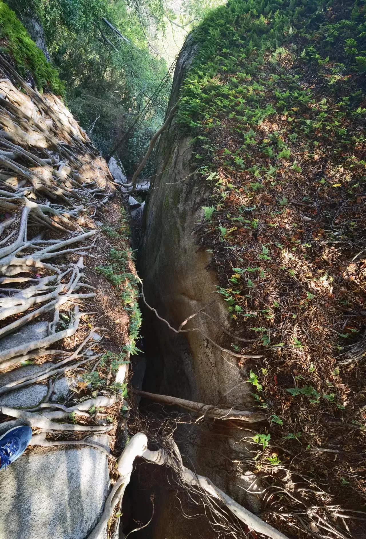 厦门岛内去哪里逛,厦门新年爬山