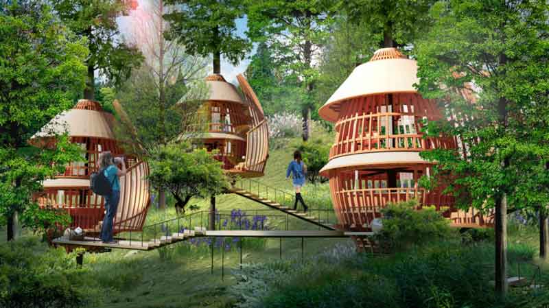 土媒人,山东景观设计乡村振兴