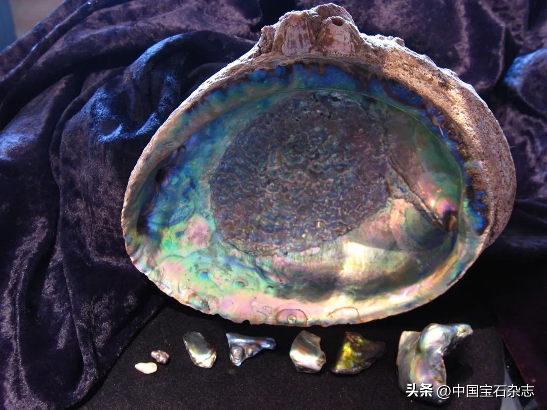 古代珍珠真品图片,古代珍珠视频