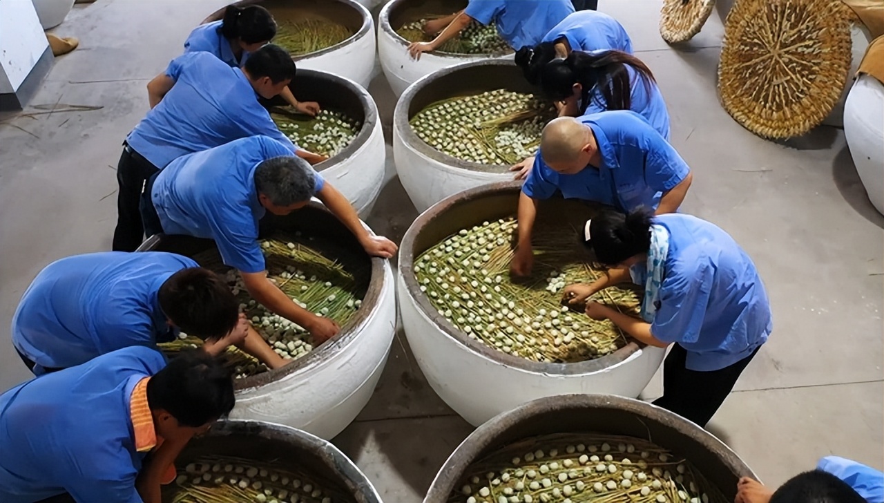 绍兴黄酒古镇,绍兴是水乡吗