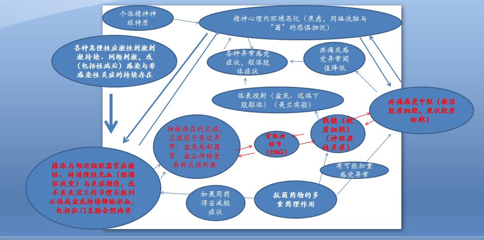 前列腺炎盆底疼痛综合症,前列腺炎的盆底疼痛治疗方法