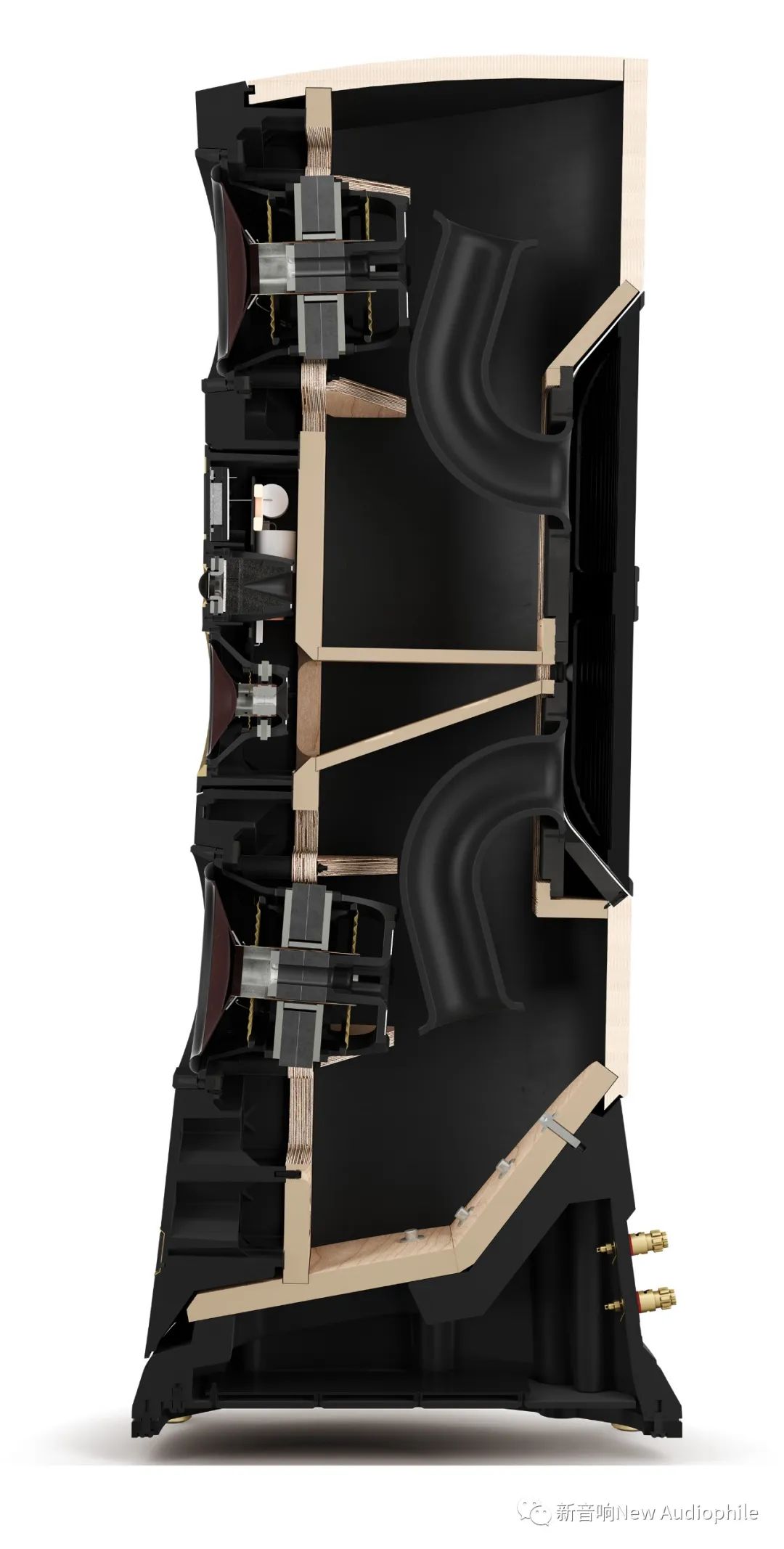 达尼旗舰音箱君临,达尼君临天下价格