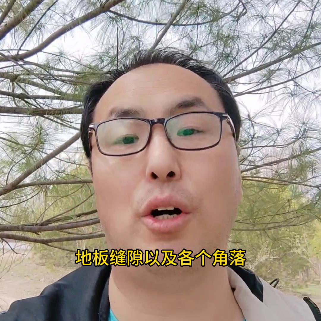 家里有黑皮蠹虫怎么办,家里有皮蠹怎么才能彻底清除干净