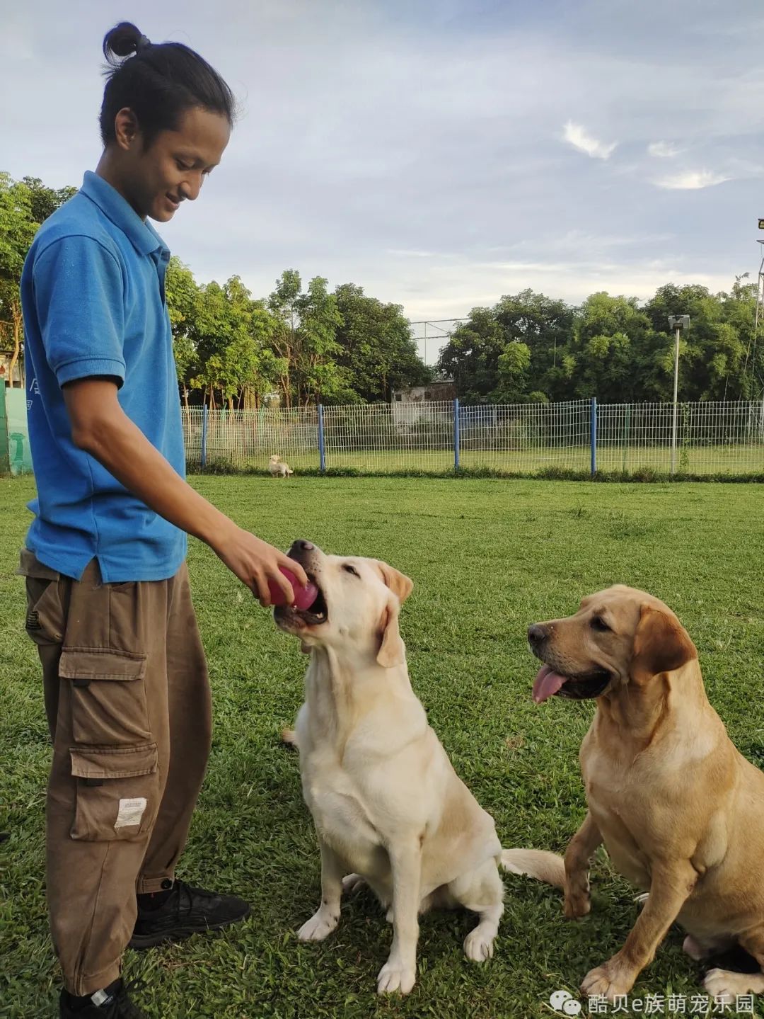 你踩过坑吗测试,你踩坑了吗金标贝壳头真假对比
