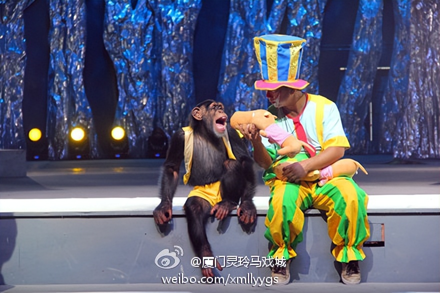 【闽山闽水物华新】周末“趣”游|欢乐亲子时光尽享人文集美