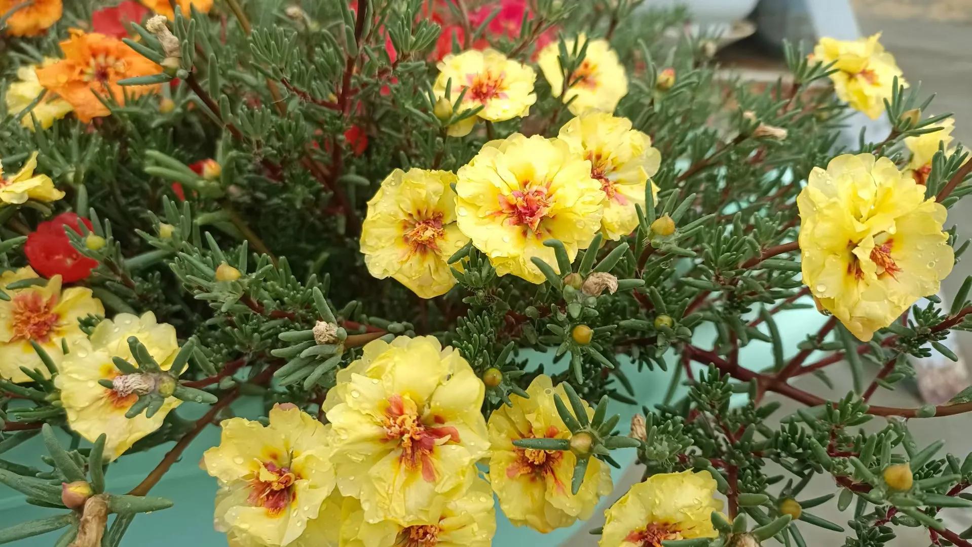 观看北京爱情故事,北京爱情故事电视剧好看吗