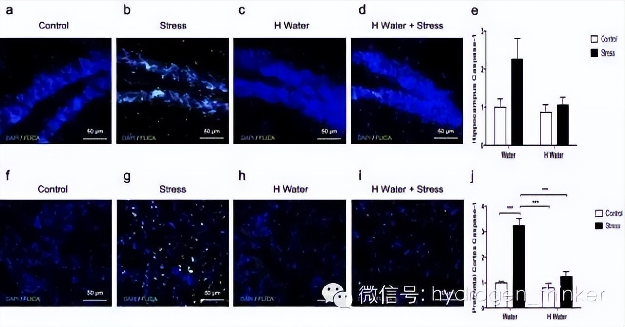 抑郁能自愈最佳方法,抑郁可以怎么治愈
