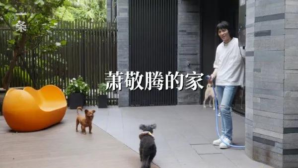 大明星住豪宅,大明星住的最贵的房子