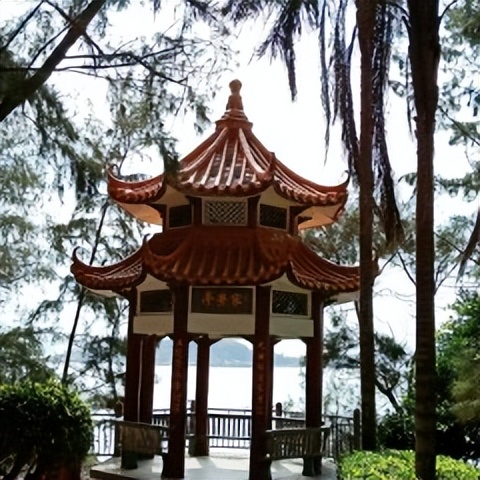 南澳岛旅游攻略最详细介绍,南澳岛怎么玩