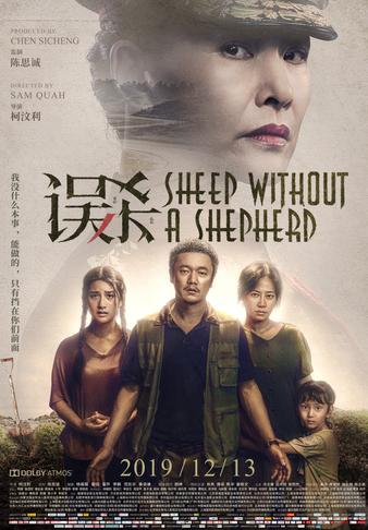 电影误杀推荐大片9.0以上评分,误杀同类型国产电影推荐