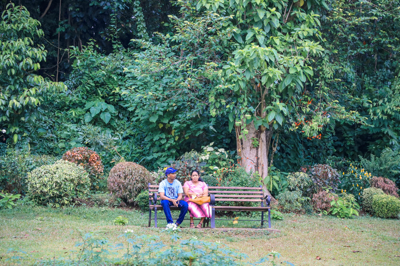 斯里兰卡旅游攻略必去景点,斯里兰卡旅游攻略最佳时间