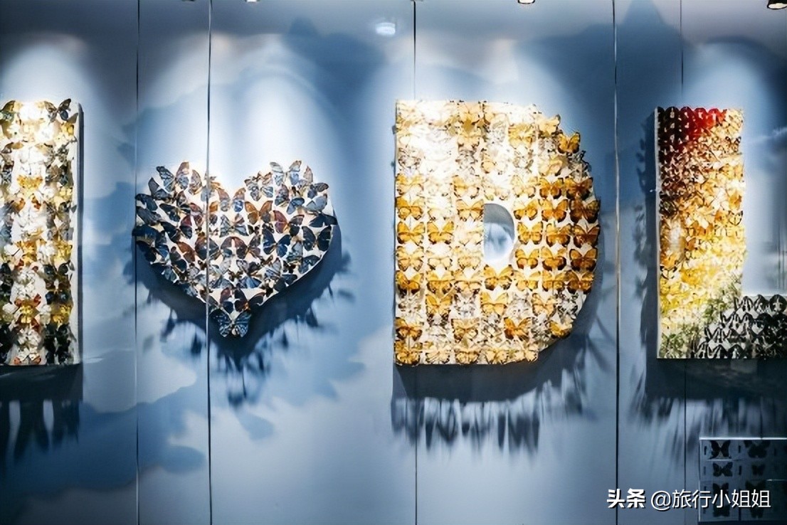 夏日海边微醺氛围感,滨城风光秀丽浪漫气息爆表