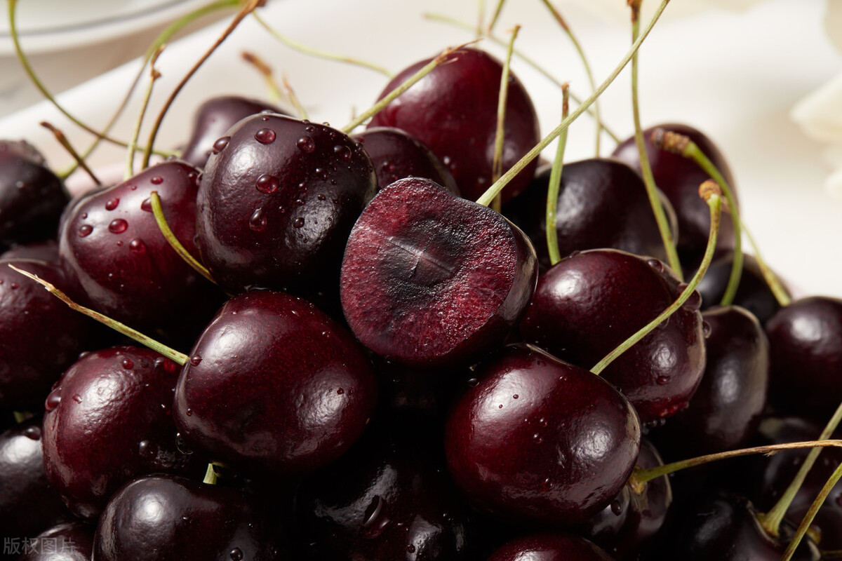 智利现状,智利基本情况