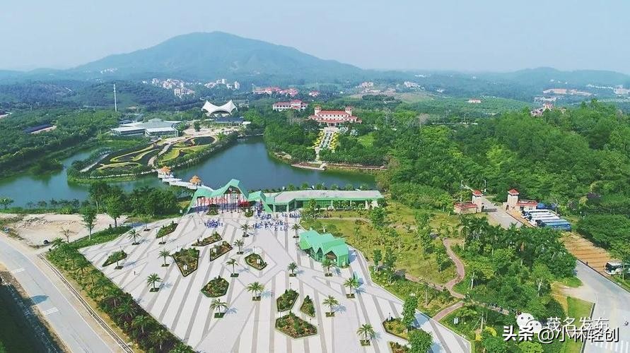 茂名信宜旅游景点大全,茂名凤凰城旅游打卡景点