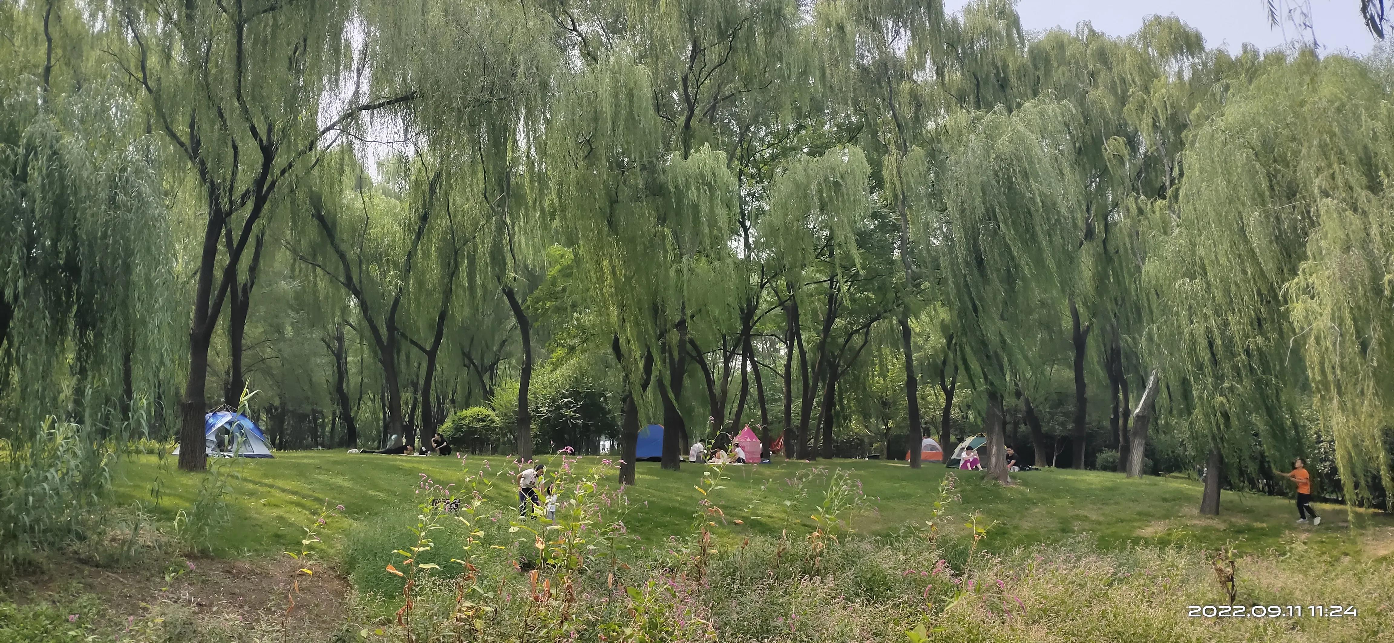 济南森林公园,济南森林公园周边游玩