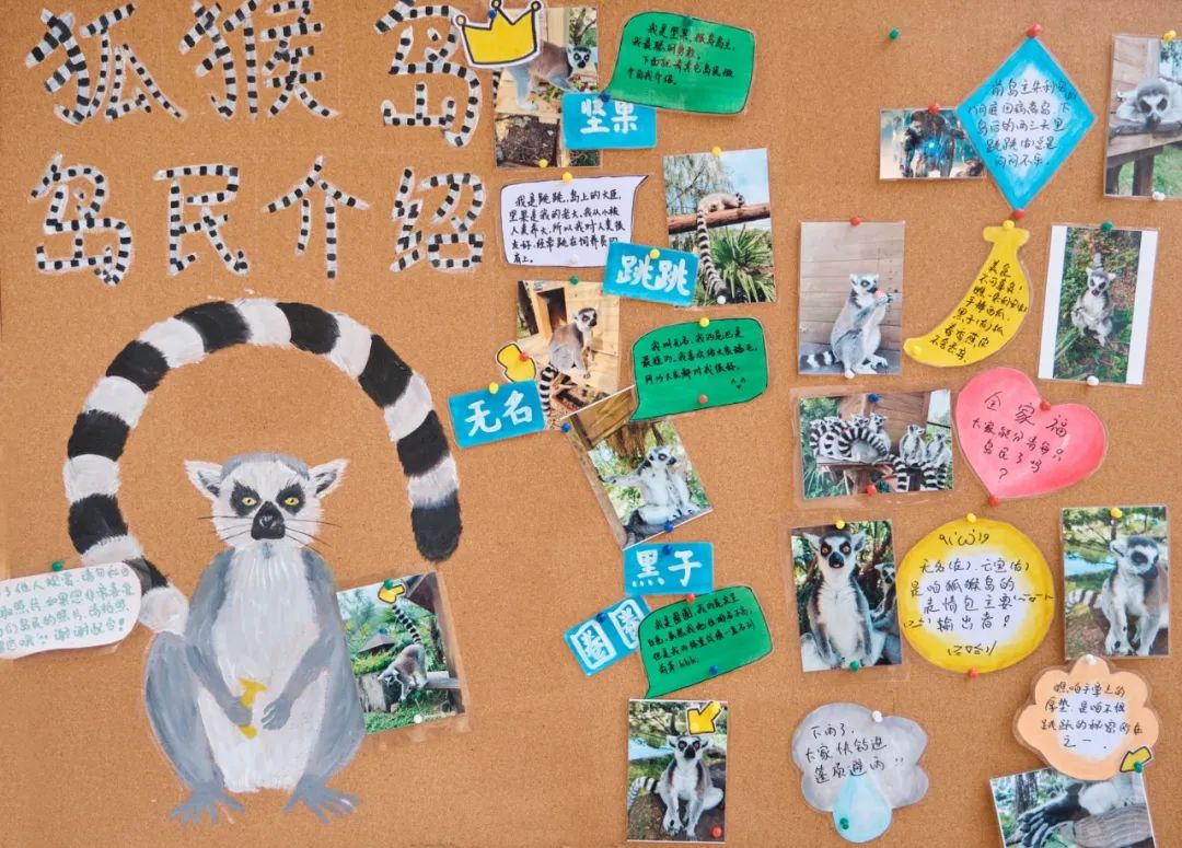 红山动物园亏损3千万网友很着急,近两年疫情原因导致亏损如何翻身