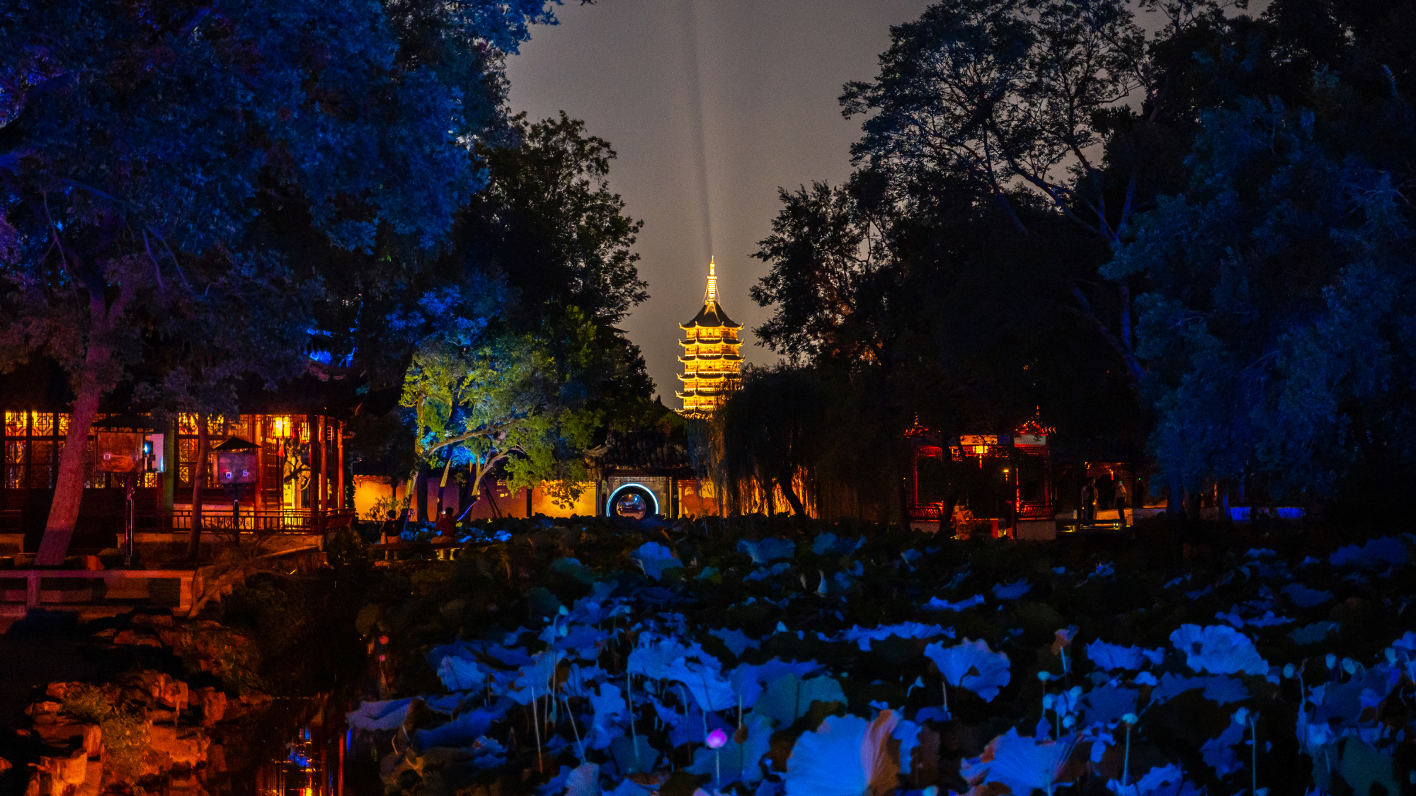 苏州园林旅游必游景点拙政园,苏州园林一日游拙政园