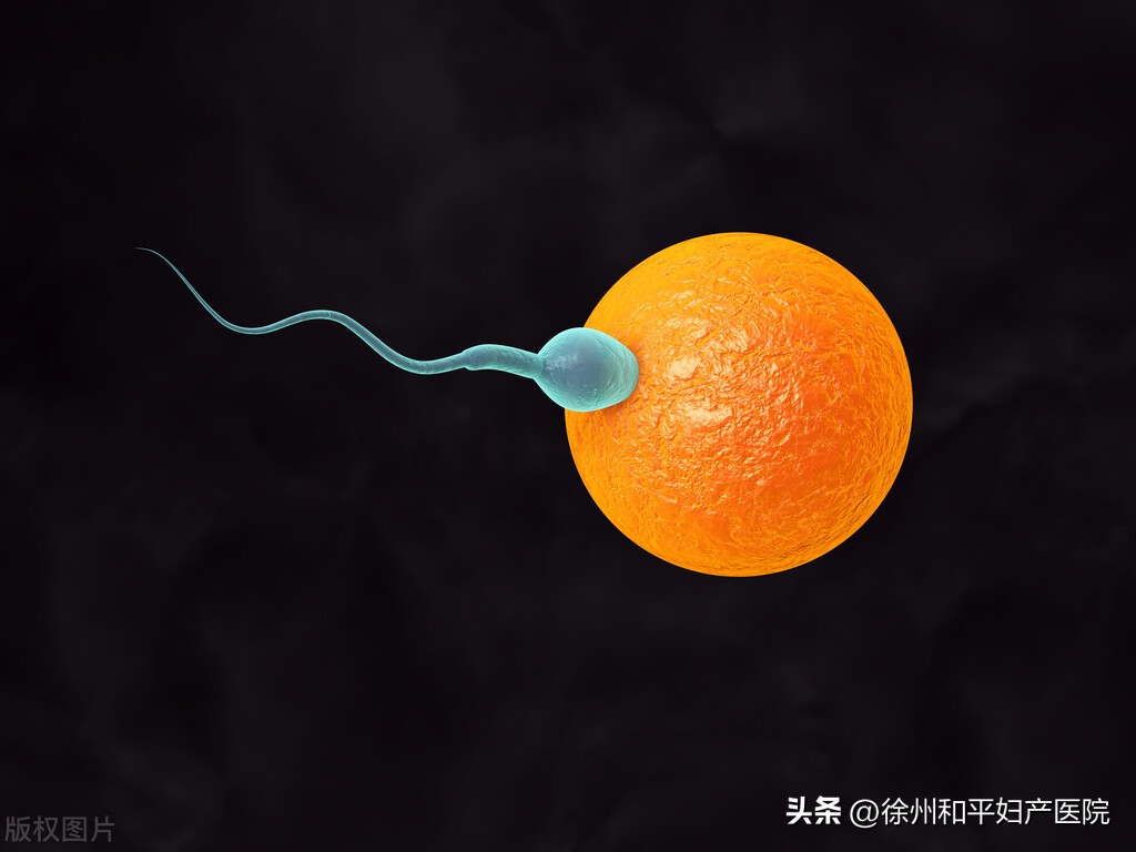 什么时候同房，“中奖”几率最高？