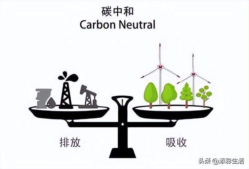 卡塔尔世界杯的地理考点,卡塔尔世界杯的地理知识点