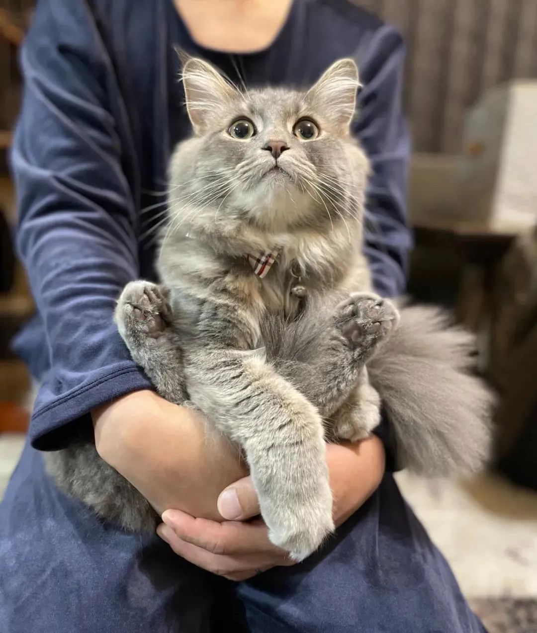 你有毛病吧！放着干净的水不喝，非要喝泡完脚自己jio的水……