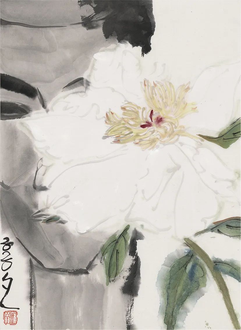 一花一木一情怀的下一句,一花一木一壶茶的生活