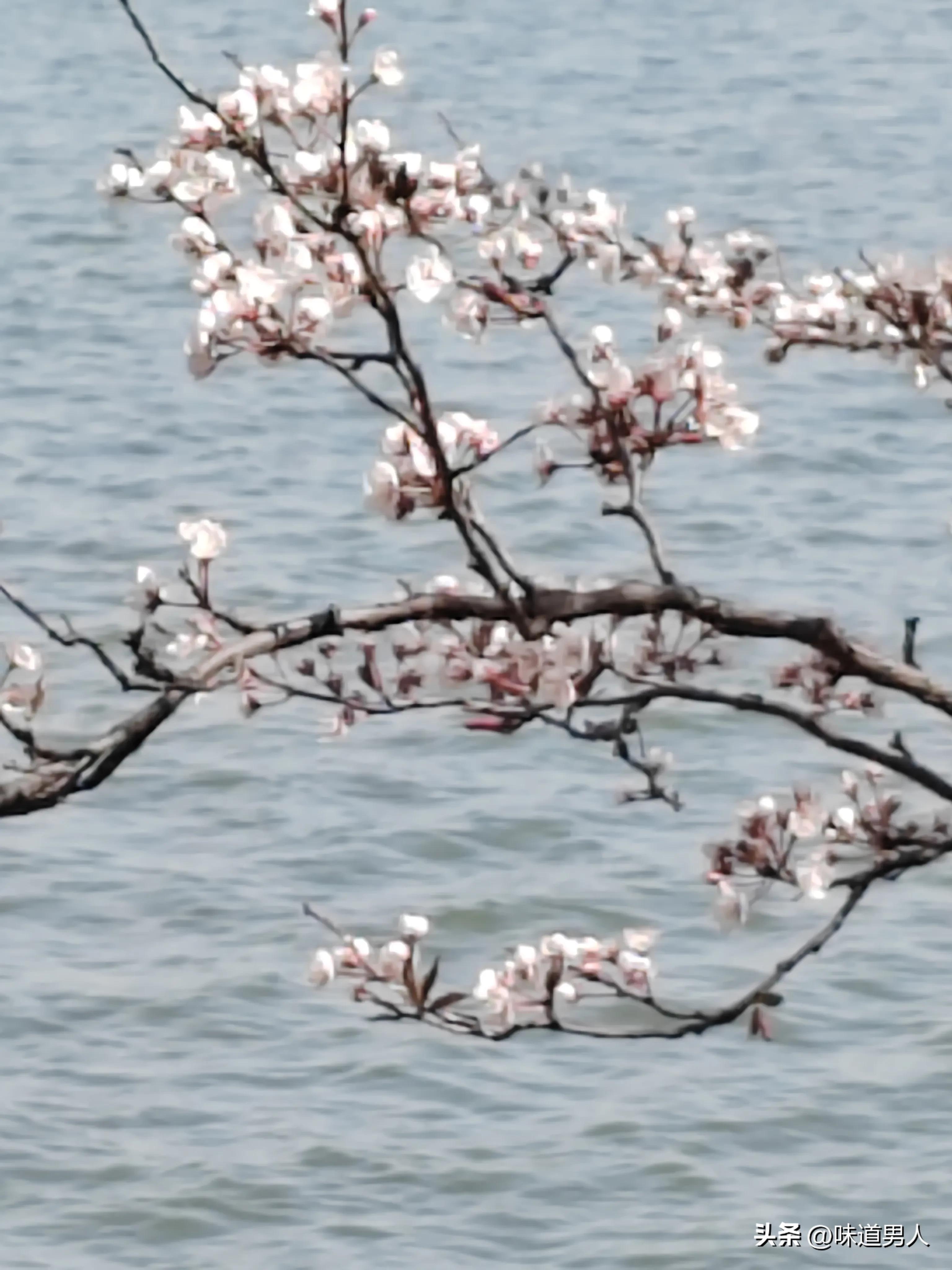 一个人遇到烦心事怎么解决,一个人遇到很烦心的事