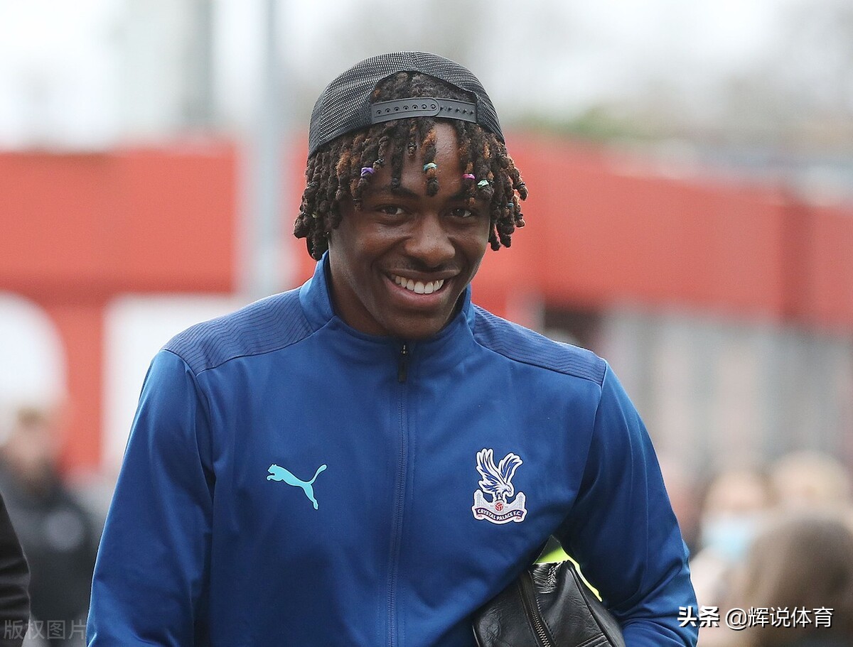 队徽是一只鹰的国家队,队徽是鸟的球队