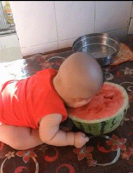 每日一笑逗乐妹子,每日一逗完整版