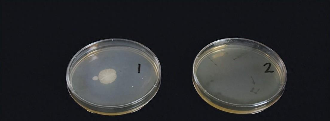 避免甲醛超标选什么家具,亚都能吸附甲醛吗