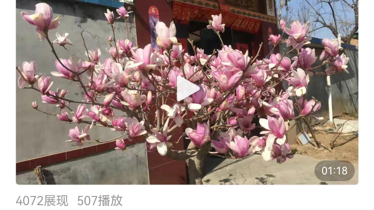 华为手机卡顿解决方法视频,刚发布的视频卡顿如何解决