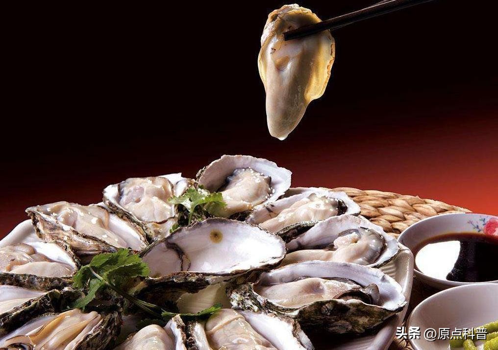 世界十大顶级海鲜排名,世界上十大最贵的十种海鲜