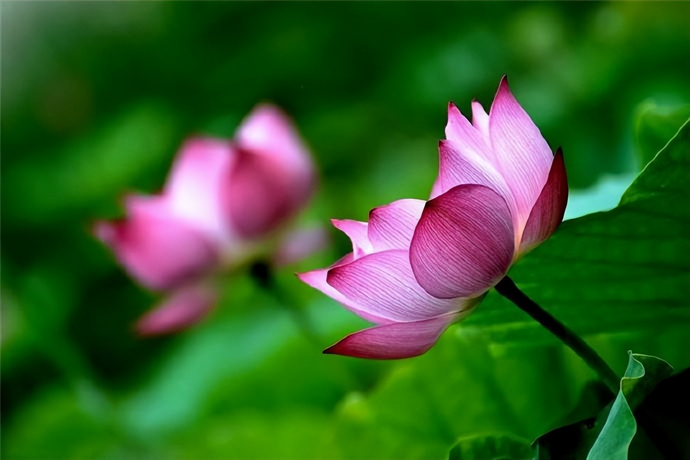 拥有大智慧的人,真正大智慧的人往往都很简单