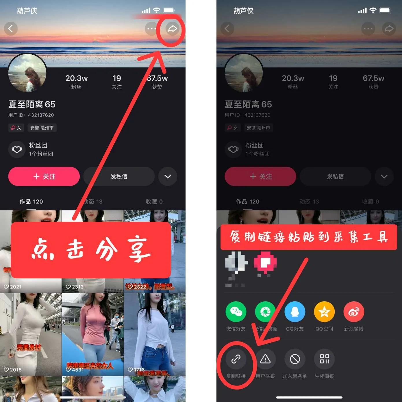 快手-短视频批量采集工具