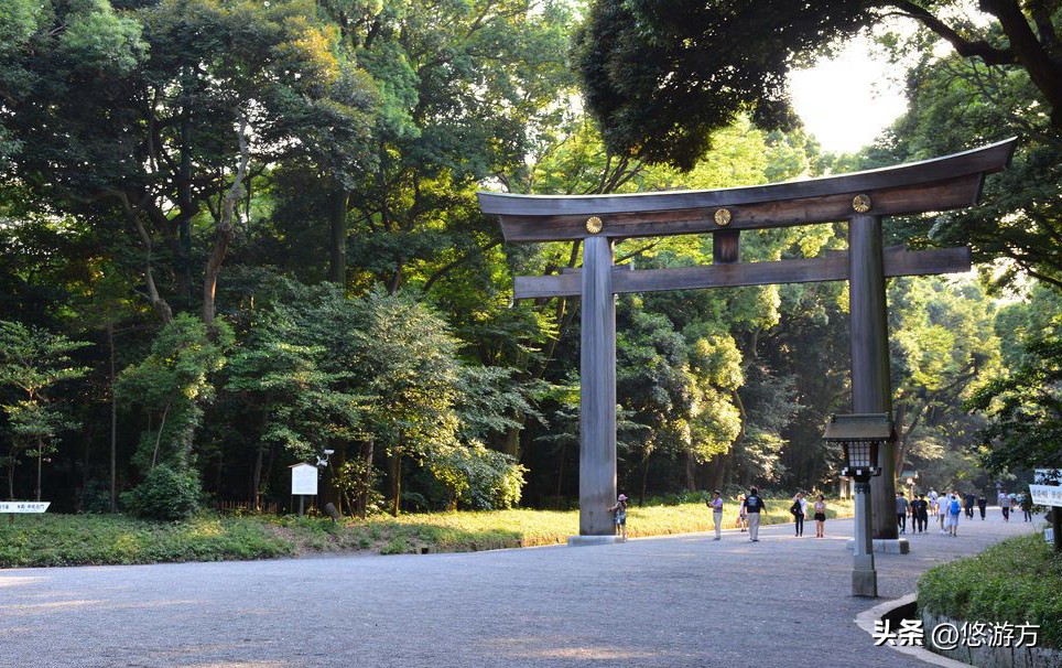 日本旅游攻略6天5夜官网,旅行团6天4夜日本游