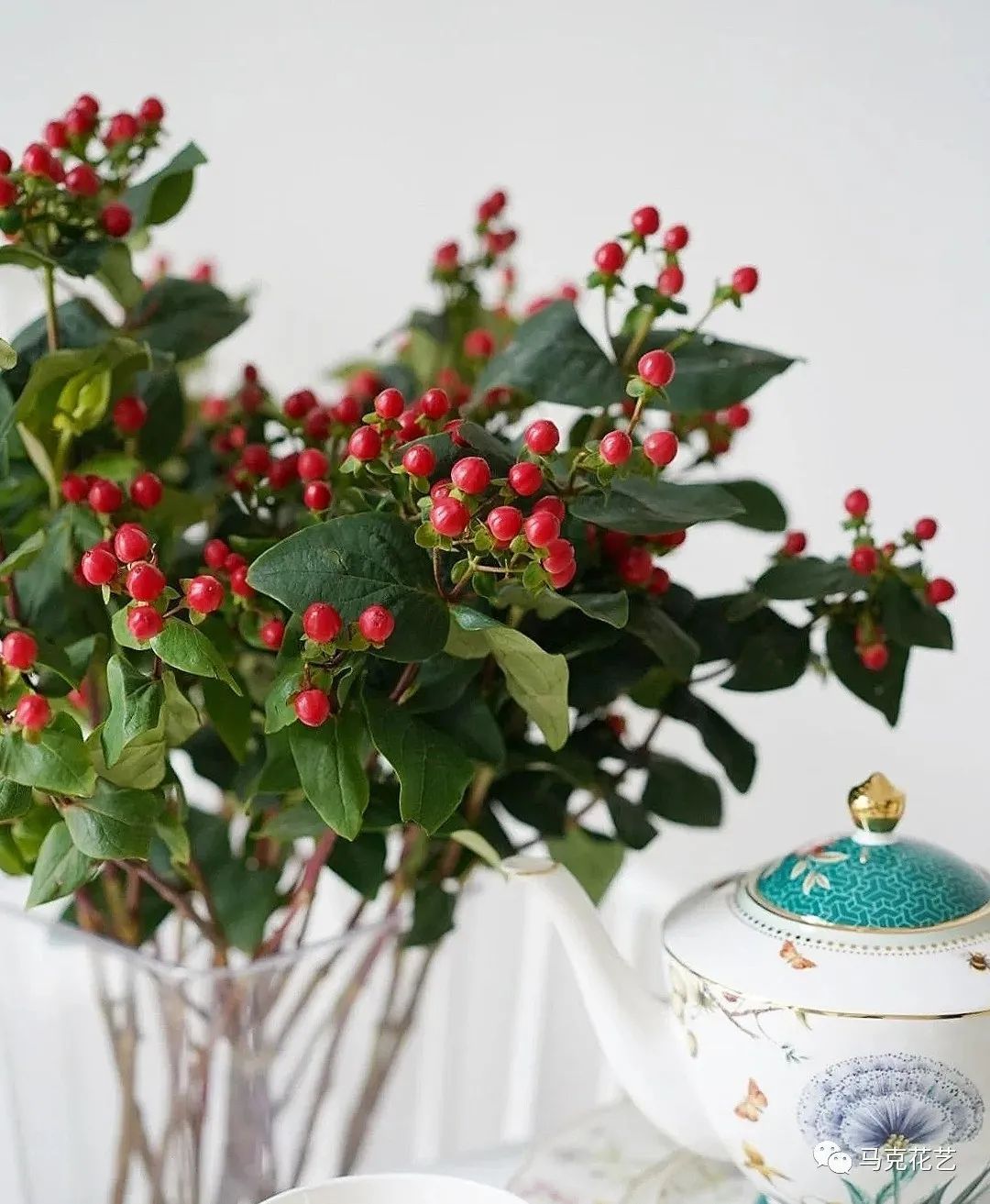 马克花艺｜送对花表对意，别让好心办坏事