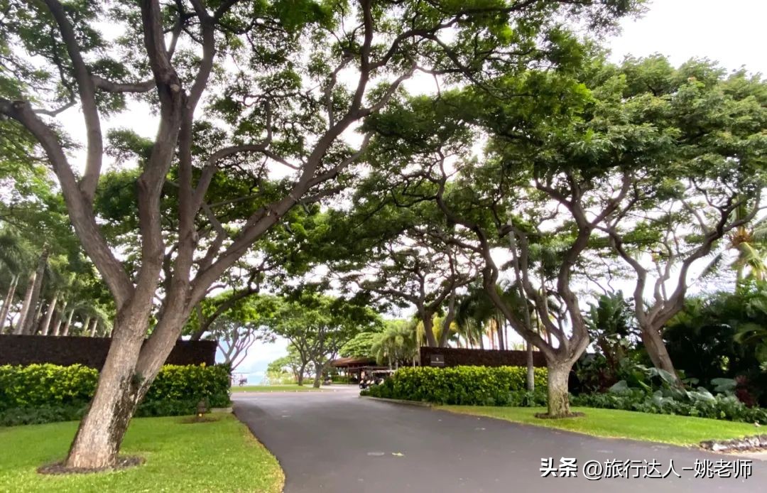 夏威夷的活火山喷发,夏威夷火山喷发大岛还能旅游吗