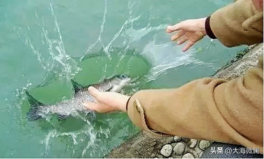 四月初八佛诞浴佛节有什么禁忌,佛诞节习俗