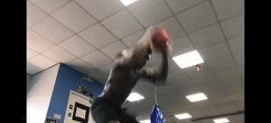 开始格斗的必练基础大全,格斗新手入门训练方法