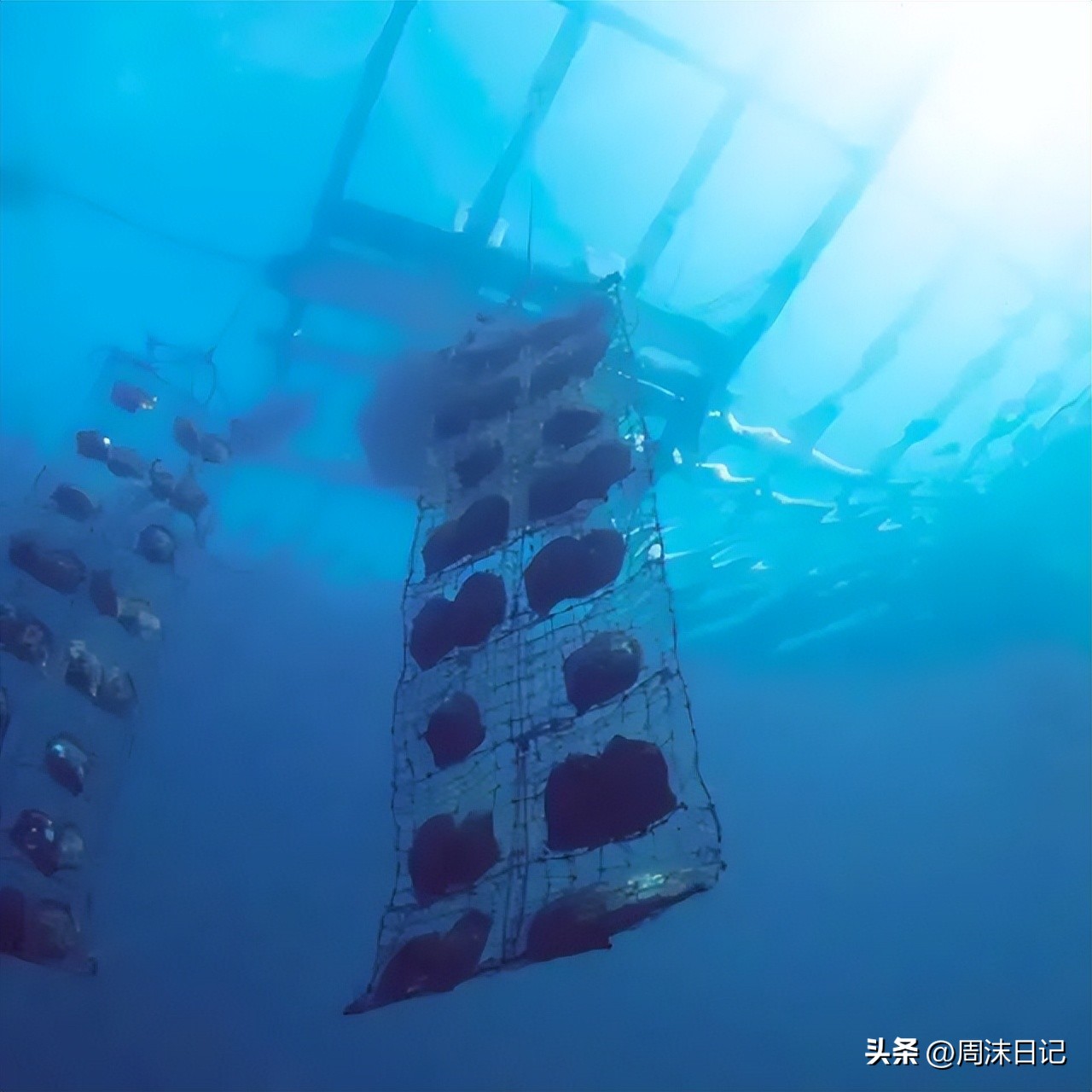 30岁适合戴什么样的珍珠,细长脖子适合戴什么样的珍珠