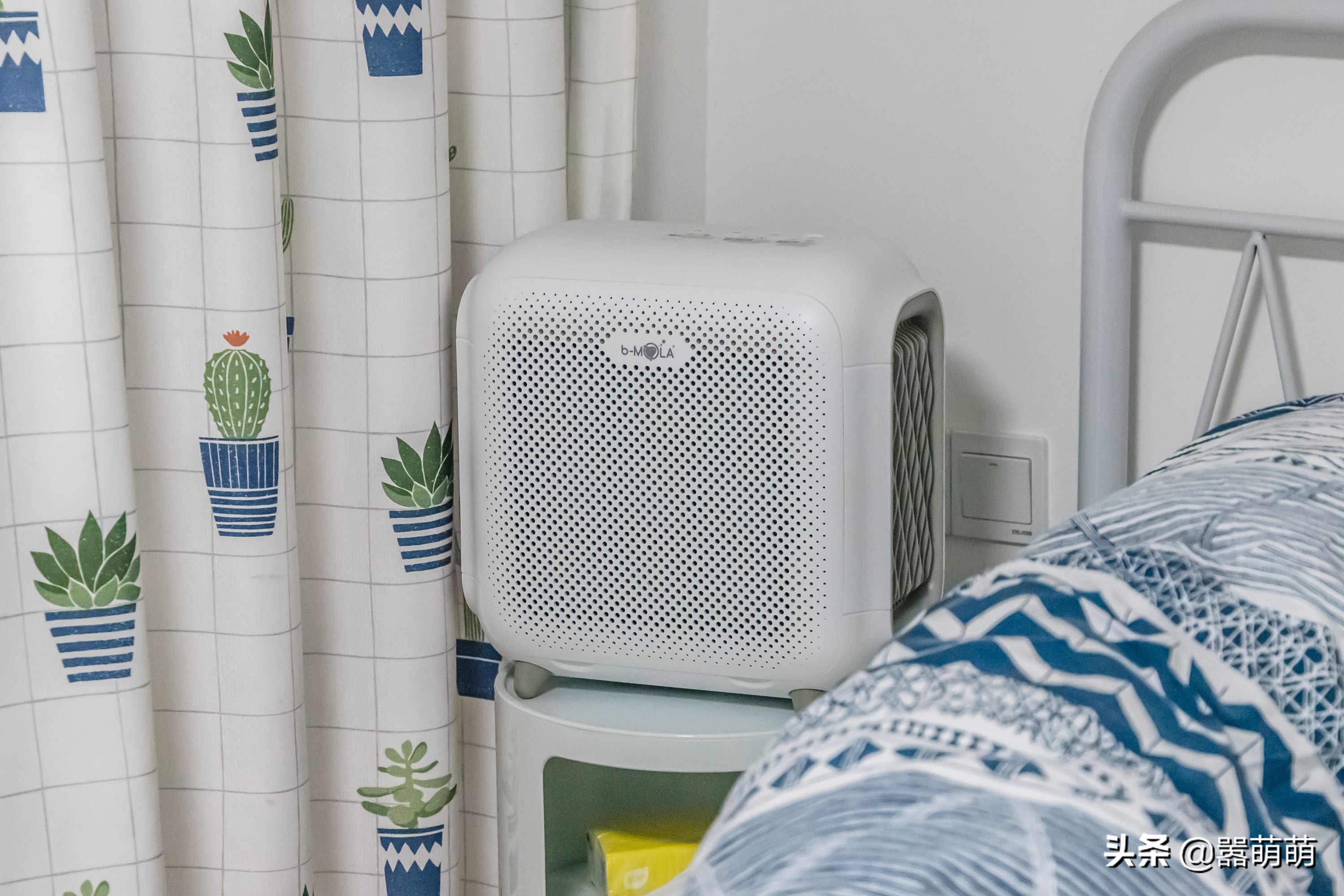 猫咪发癫乱叫,猫咪飙尿如何解决