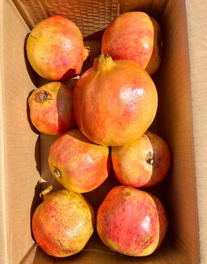 健康养生的零食都有哪些,健康养生零食大全