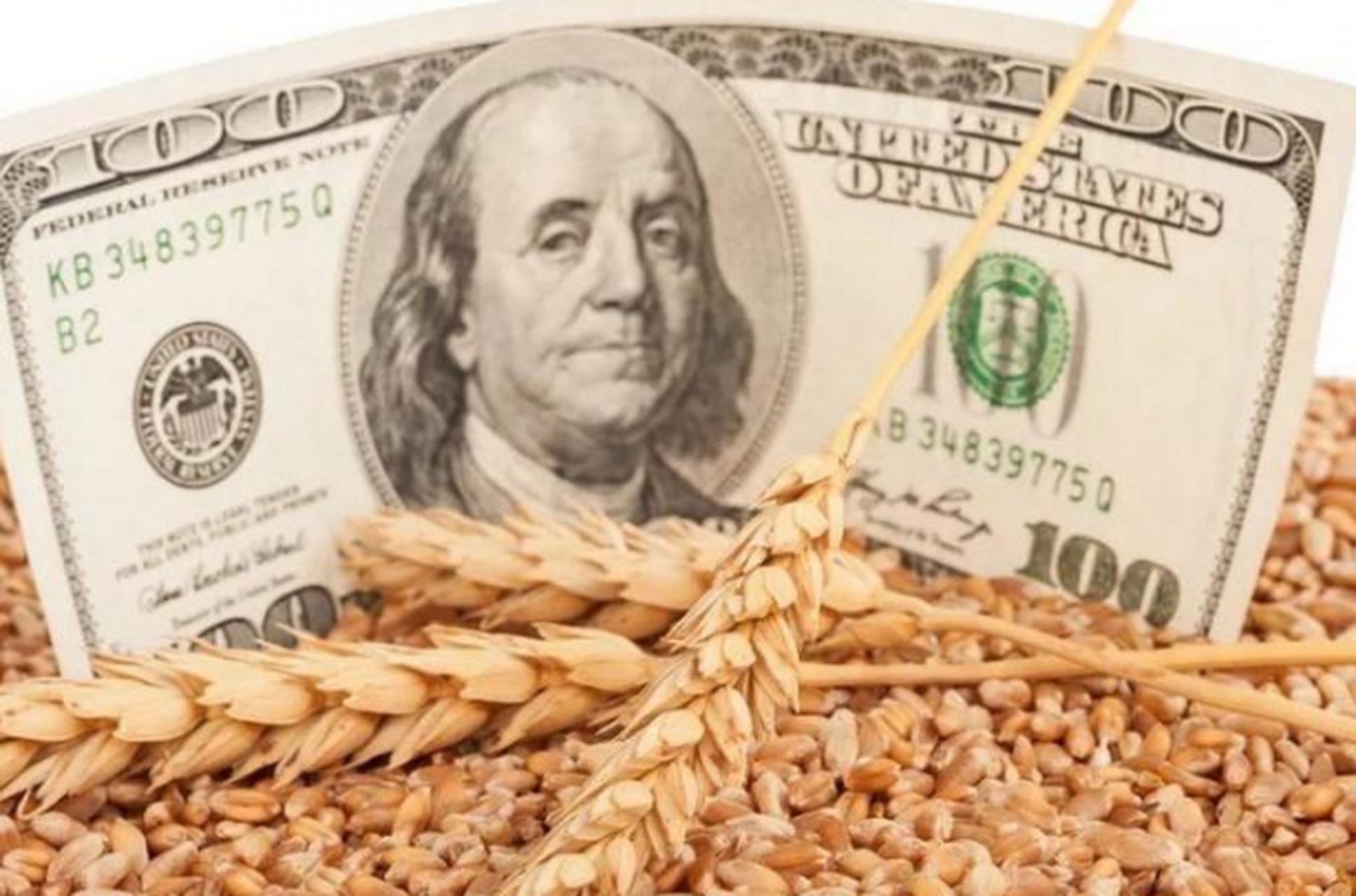 美国给中国出口粮食是真的吗,美国向中国出口粮食多少