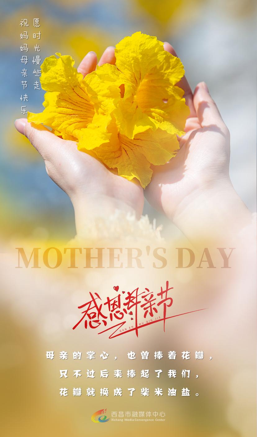 母亲节海报牛奶,母亲节海报