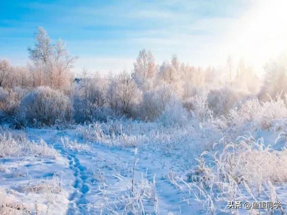 霜降寓意着天气逐渐变冷,今年霜降日是什么预兆