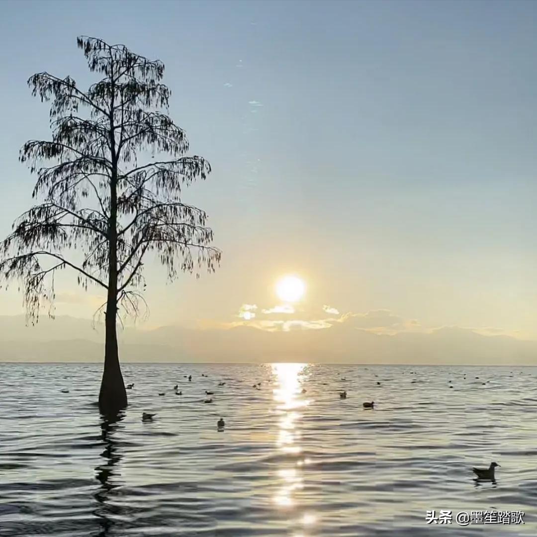 那段再也回不去的记忆,那个瞬间永远不值得被原谅